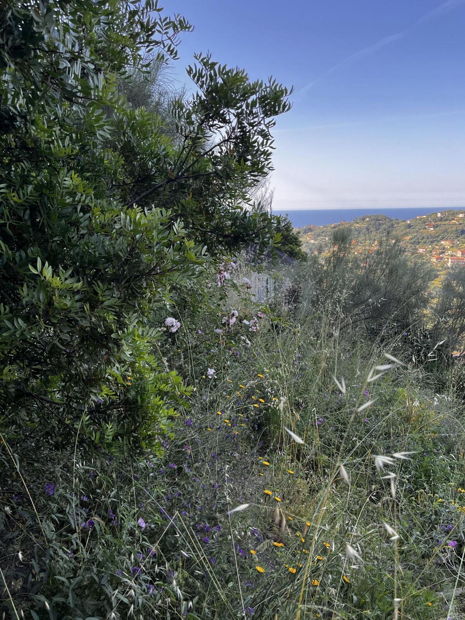 Villa D'Artisti Sanremo Exterior photo